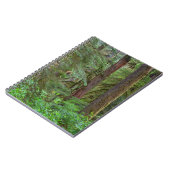 Willamette National Forest | Oregon Notitieboek (Linkerzijde)