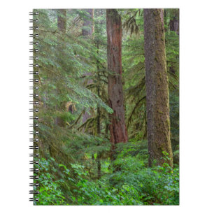 Willamette National Forest   Oregon Notitieboek
