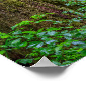 Willamette National Forest | Oregon Poster (Hoek)