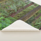 Willamette National Forest | Oregon Sherpa Deken (3/4)