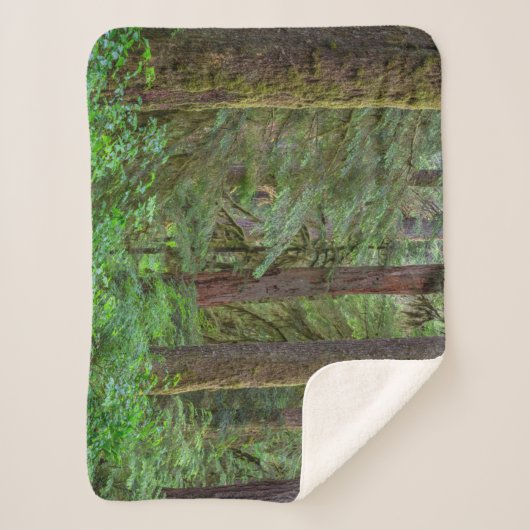 Willamette National Forest | Oregon Sherpa Deken (Voorkant)