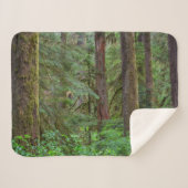 Willamette National Forest | Oregon Sherpa Deken (Voorkant (horizontaal))