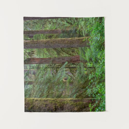 Willamette National Forest | Oregon Wandkleed (Voorkant)