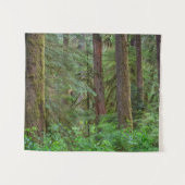 Willamette National Forest | Oregon Wandkleed (Voorkant (horizontaal))