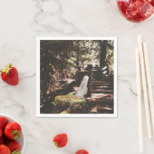 Willamette National Forest Servet (Insitu)