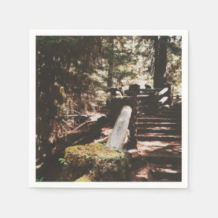 Willamette National Forest Servet