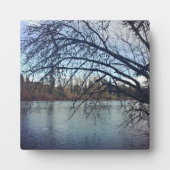 Willamette, OR Fotoplaat (Voorkant)