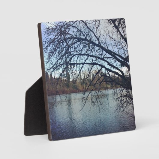 Willamette, OR Fotoplaat (Voorkant)