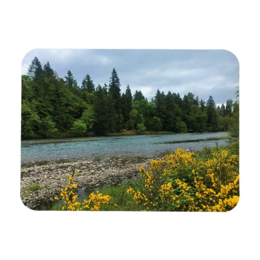 Willamette River, Elijah Bristow State Park, OF Magneet (Horizontaal)