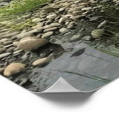 Willamette River, Elijah Bristow State Park, OF Poster (Hoek)