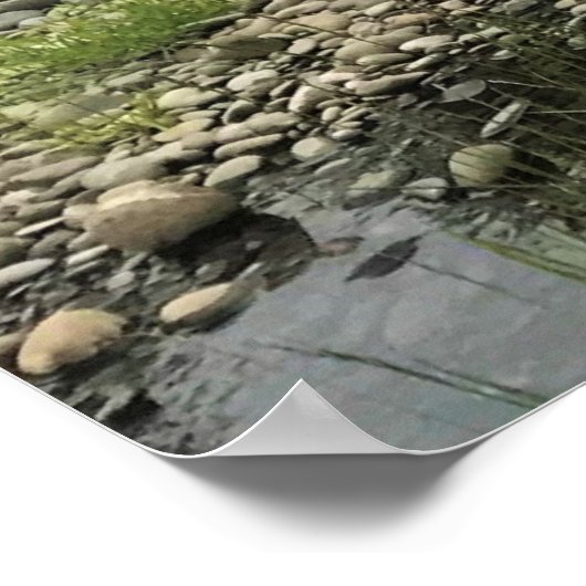 Willamette River, Elijah Bristow State Park, OF Poster (Hoek)