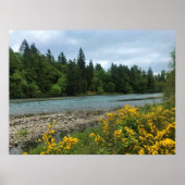 Willamette River, Elijah Bristow State Park, OF Poster (Voorkant)