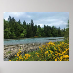 Willamette River, Elijah Bristow State Park, OF Poster