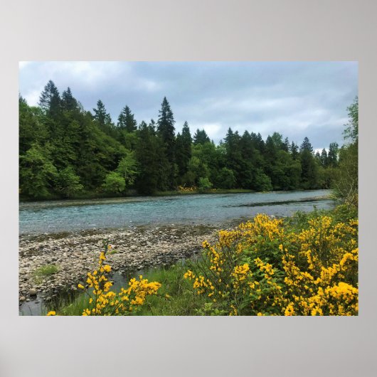 Willamette River, Elijah Bristow State Park, OF Poster (Voorkant)