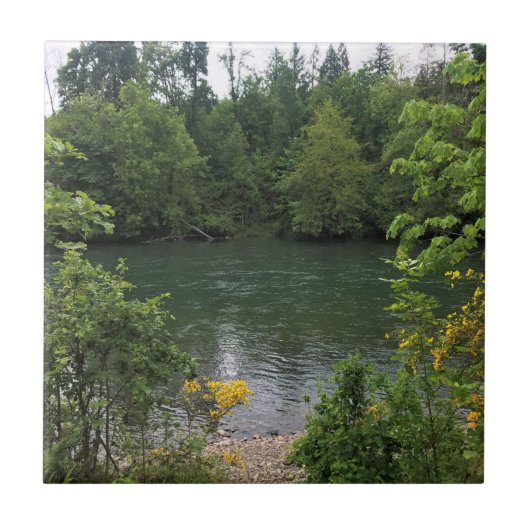Willamette River, Elijah Bristow State Park, OF Tegeltje (Voorkant)