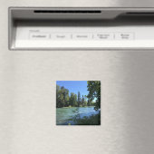 Willamette River, Oregon Magneet (Insitu (Vaatwasser))