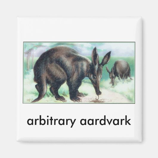 willekeurig aardvarken magneet (Voorkant)