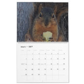 Willekeurige foto's kalender (Mar 2027)
