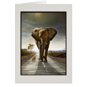 Willekeurige gedachten