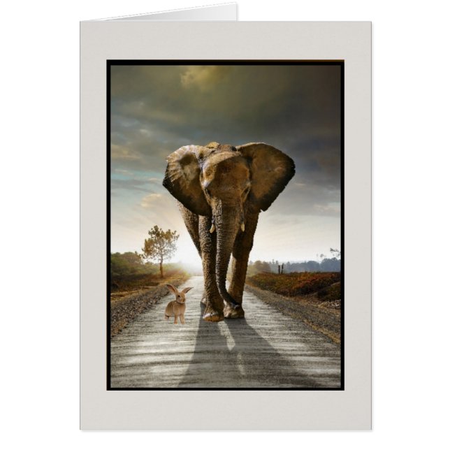 Willekeurige gedachten (Voorkant)