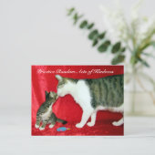 Willekeurige handelingen van Kindness Briefkaart - (Staand voorkant)