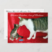 Willekeurige handelingen van Kindness Briefkaart - (Voorkant / Achterkant)