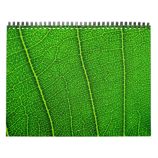Willekeurige natuurkalender kalender (Hoes)