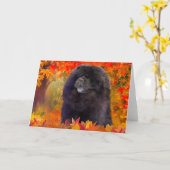 WILLEM ART KAARTEN (Gele Bloem)