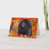 WILLEM ART KAARTEN (Voorkant)