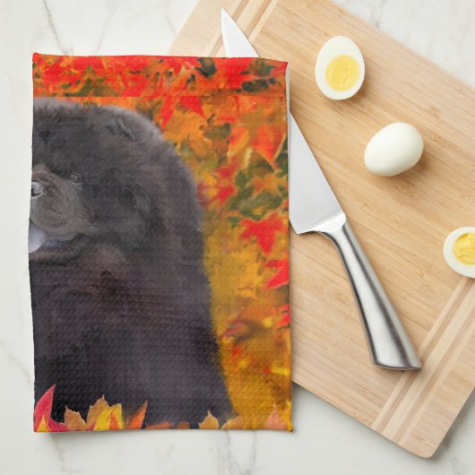 WILLEM - Keukenhanddoeken (Quarter Fold)