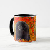 WILLEM MOK (Voorkant links)