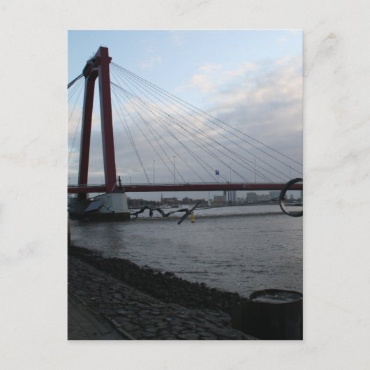 Willemsbrug, Rotterdam Briefkaart (Voorkant)