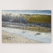 Willet Duo op het eiland Dauphin, Alabama Legpuzzel (Horizontaal)