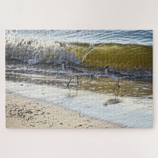 Willet Duo op het eiland Dauphin, Alabama Legpuzzel (Horizontaal)