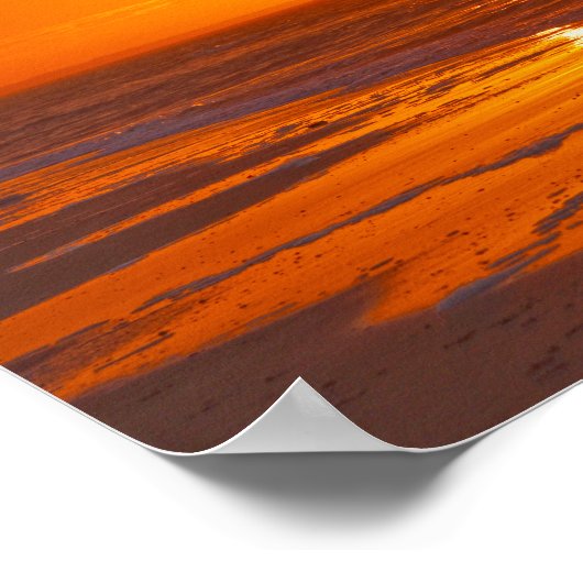 Willet op het strand bij Dawn, Florida Poster (Hoek)