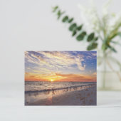 Willets op een strand van Florida op Sunset Briefkaart (Staand voorkant)