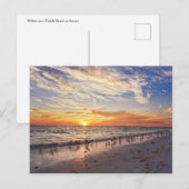 Willets op een strand van Florida op Sunset Briefkaart (Voorkant / Achterkant)