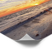 Willets op een strand van Florida op Sunset Poster (Hoek)
