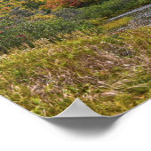 Willey Pond in de herfst. New Hampshire Poster (Hoek)
