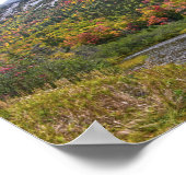 Willey Pond in de herfst. New Hmapshire Poster (Hoek)