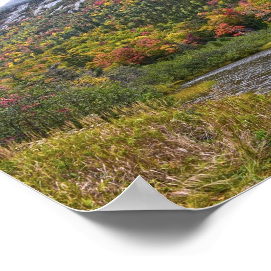 Willey Pond in de herfst. New Hmapshire Poster (Hoek)