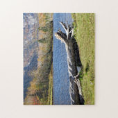 Willey's Pond, Saco River, North Conway, N.H. Legpuzzel (Verticaal)