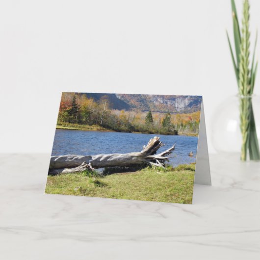 Willey's Pont, Saco River, North Conway, NH Kaart (Voorkant)