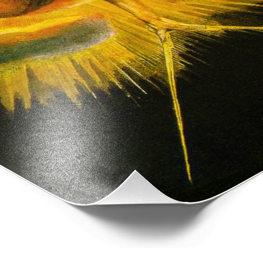 William Blake Ancient of Days Print Foto Afdruk (Hoek)