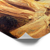 William Blake Jacob's Ladder Poster (Hoek)