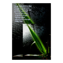 William Blake "stil delight" gedicht citeert poste