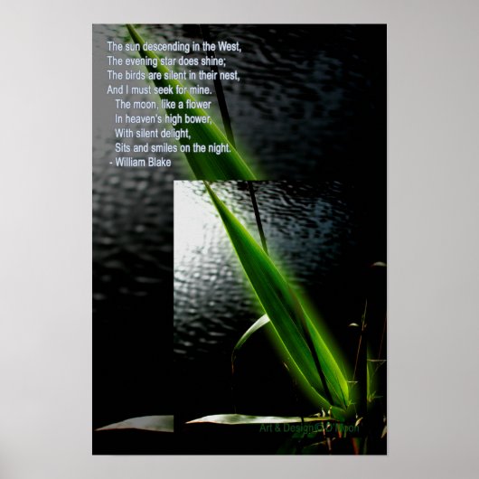 William Blake "stil delight" gedicht citeert poste Poster (Voorkant)
