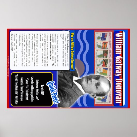 William Galway Donovan Biography Poster (Voorkant)