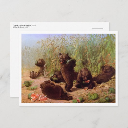 William H. Beard, Beren in de Watermeloen Patch Briefkaart (Voorkant / Achterkant)