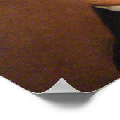 William Henry Harrison Poster (Hoek)